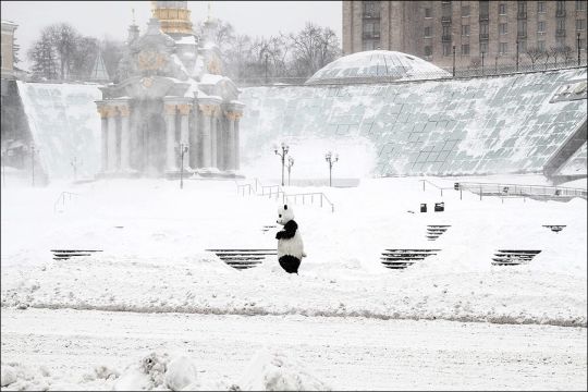 Мартовский снегопад 2013 в Киеве