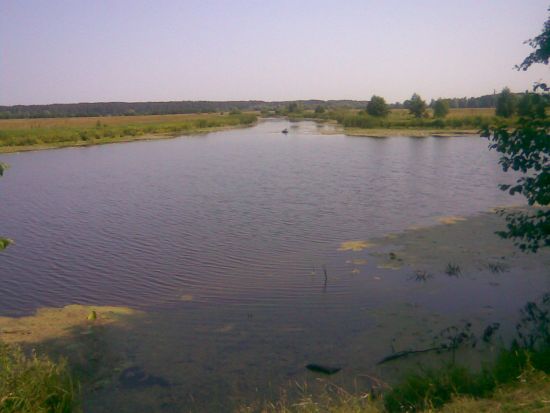 Озера у речки Десны