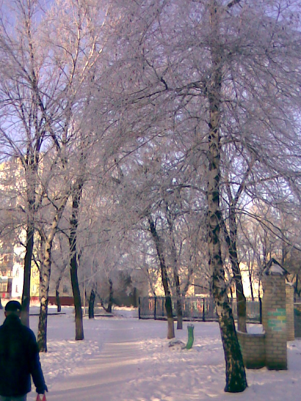 - 2008-2009 