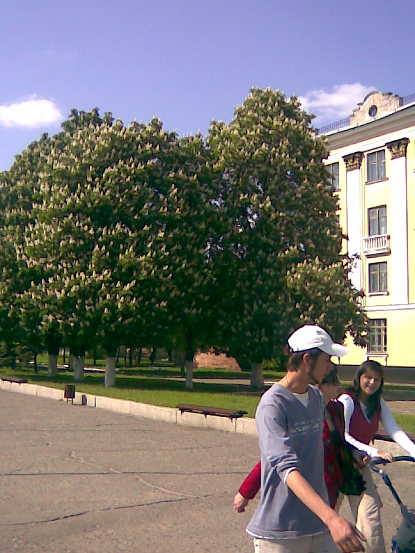- 2009. 