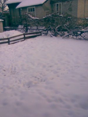 Фото пристройки,двора